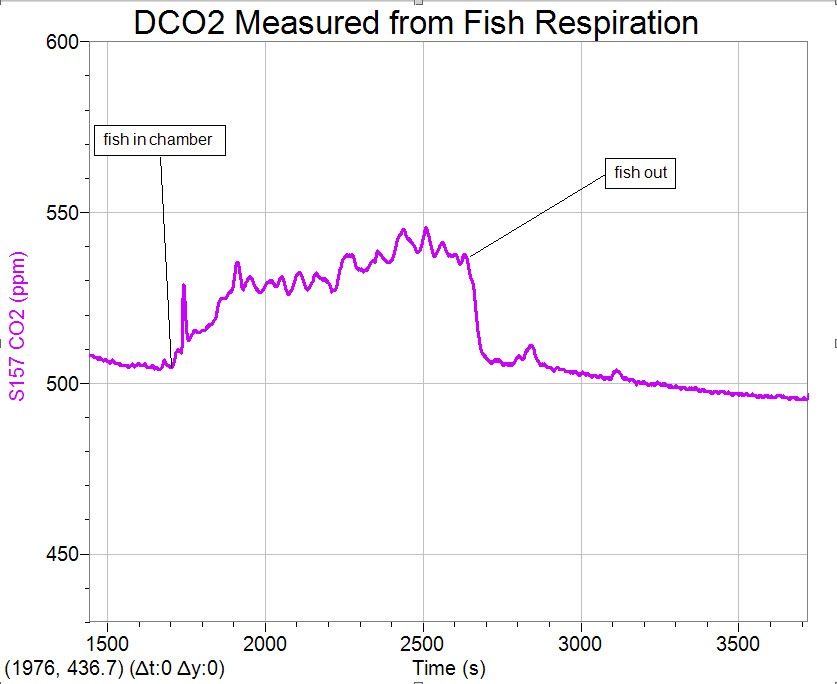 Sample respirometry data from small gold fish using Rapid Response DCO2 System