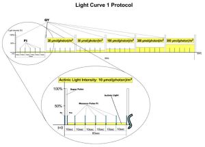 Light Curve 1 Protocol