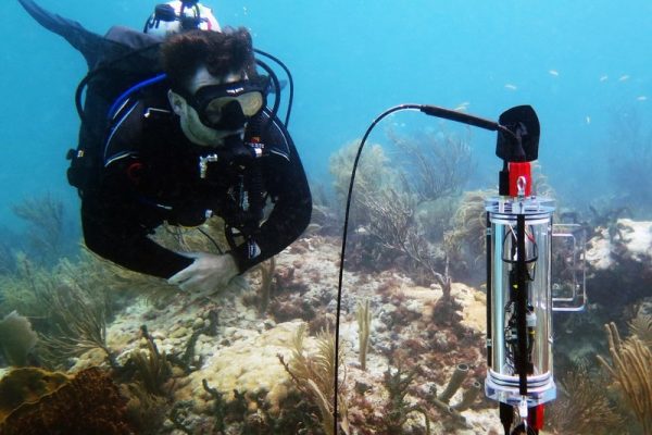 Aquatic Respiration and Photosynthesis CISME Coral Measurements