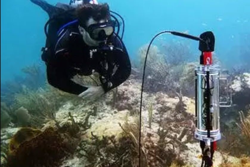 Scuba Diver using a Q-Box Aqua